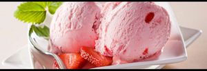 TRebs ijsmachine en milkshake maker type 21138
