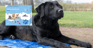 cooling mat